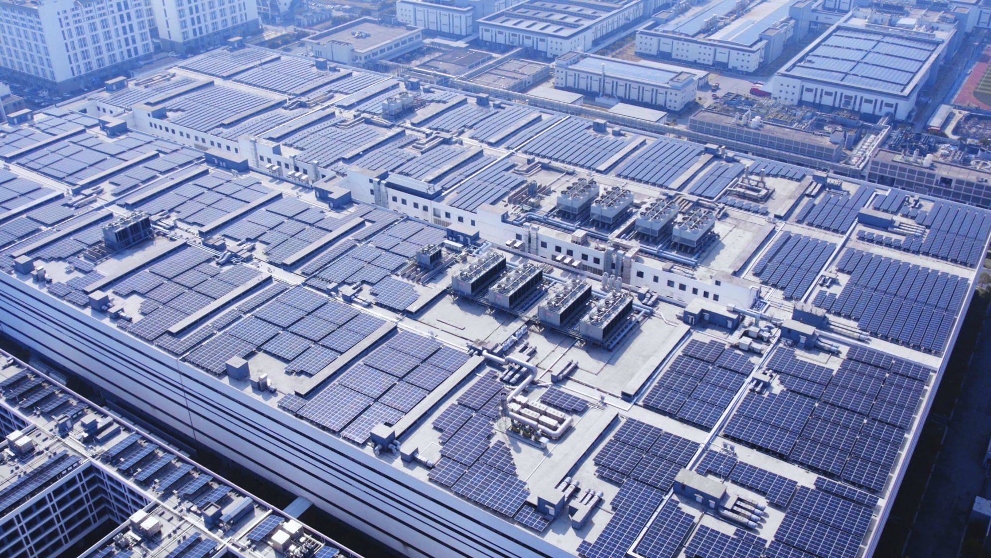 世界森林日｜g22恒峰绿电自循环一年，相当于种下一片森林